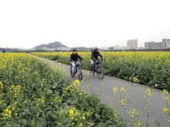 -光明小镇欢乐田园
