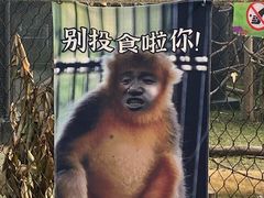 -武汉动物园