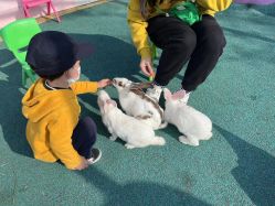 -季高兔窝窝亲子园(上海薰衣草公园店)