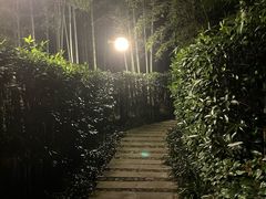 -宜兴富陶温泉