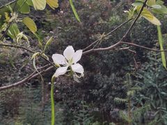 -火炉山森林公园