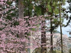 -醍醐寺