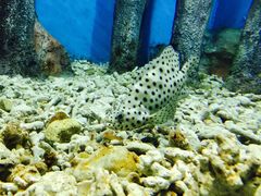 -福州罗源湾海洋世界旅游区