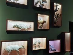 -重庆自然博物馆(新馆)