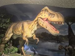 -大同煤炭博物馆