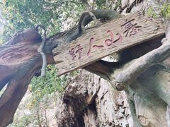-永泰中国云顶