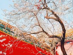 -故宫博物院(故宫)