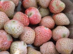 -78线水果批发市场精品厅五号