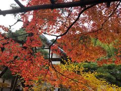 -常寂光寺