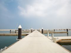 -星光岛