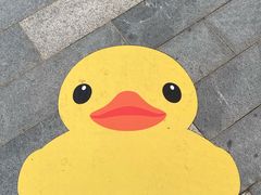 -深圳人才公园