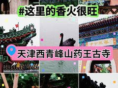 -天津市峰山药王古寺