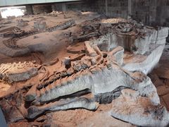 -自贡恐龙博物馆