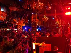 -胡桃里音乐酒馆(石家庄店)