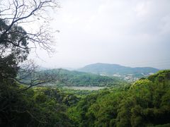 -广州市帽峰山景区