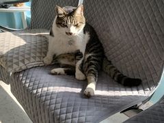 -爱诺动物医院(崂山店)