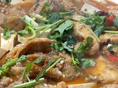 -煲来饱去冷水鱼