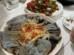 -煲来饱去冷水鱼