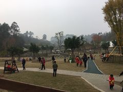-黄龙溪欢乐田园