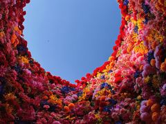 -红崖峡谷景区