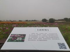 -江苏三台山国家森林公园
