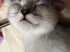 -宠颐生宠物医院外科·内科·皮肤科·影像科(石龙店)
