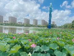 -海天湖公园