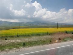 -撒拉人家.酸菜牦牛肉火锅