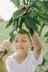 -ZOO KIDS象集摄影工作室(西城公馆店)