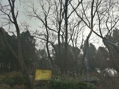 -贮水山儿童公园