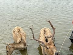 -宁波杭州湾国家湿地公园