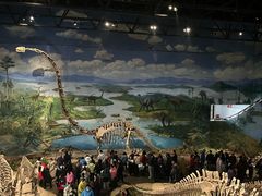 -自贡恐龙博物馆