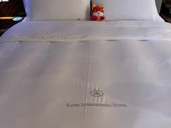 -惠州康帝国际酒店