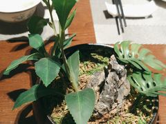 -百富源·海鲜辽菜(张士店)