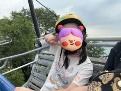-圣淘沙天际线斜坡滑车