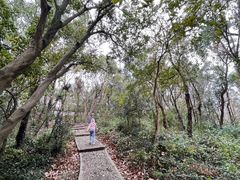 -上海佘山国家森林公园天马山园