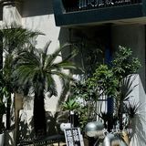 躺在城市森林晒会儿太阳🍃给精神以光合作