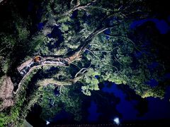 -普陀山雷迪森庄园