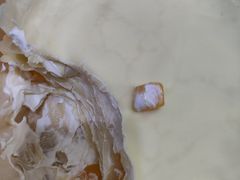 -卡漫莫尼蛋糕(徐汇店)