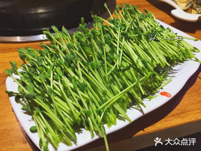 秦记水佬坊香港火锅(苏悦广场店)有机豆苗图片