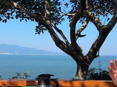 -美人鱼悬崖海景餐厅(鹿嘴山庄店)