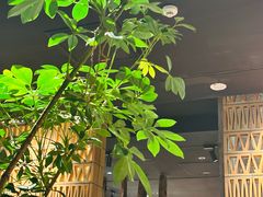 -一坐一忘云南菜(北京skp店)
