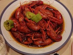 -杨氏青龙虾·羊蝎子(珠江路店)