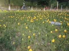 -长春公园(普阳街道)