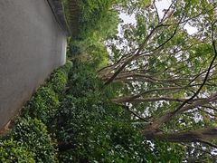 -西湖风景区-江洋畈生态公园