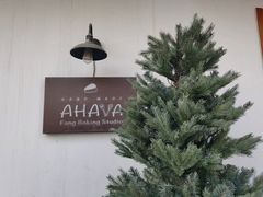 -AHAVA·Fang Baking Studio