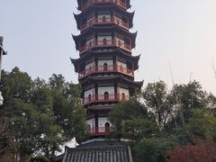 -绳金塔