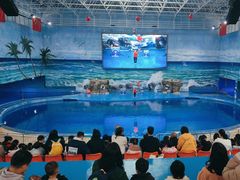 -多彩贵州城极地海洋世界