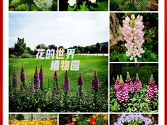 -国家植物园