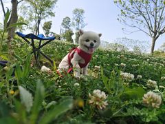 -白鹭湾湿地公园